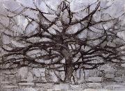 Grey tree